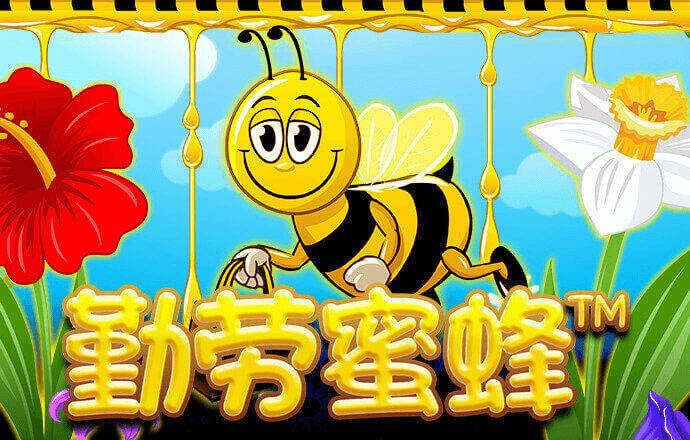 火兔体育官方网站